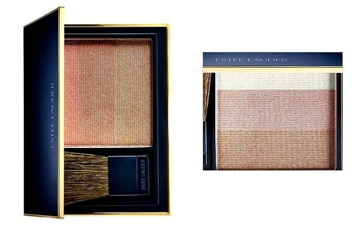  Top 10 Highlighters for Desi Skin