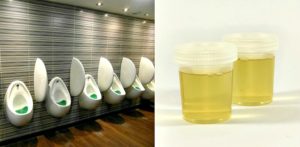 Human Urine can be Transformed into Electricity