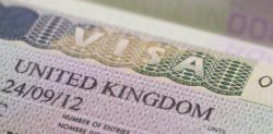 Immigration Issues from Babies for Visas to Marriage Tourism
