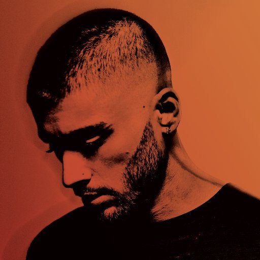ZAYN ORANGE