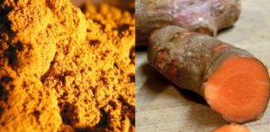 The History and Origins of Turmeric