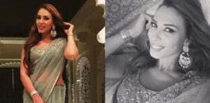 Iulia Vantur attends Wedding with Salman Khan in a Saree