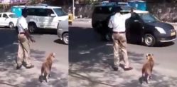 Indian Policeman stops Traffic to help Dog cross the Road