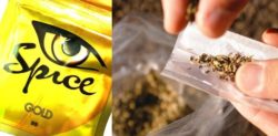 The Dangers of Smoking drugs called Spice and Black Mamba