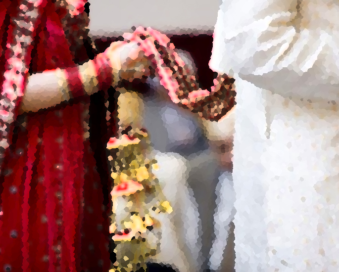 Arranged Marriage and Divorce - Ranjeet-Meena