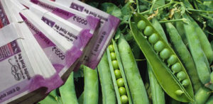 Indian Government Employee caught Accepting Peas as Bribe