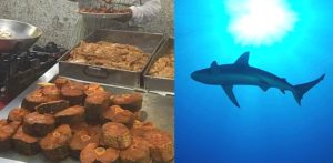 Shark Meat secretly Sold as 'Fish' Dishes in Karachi f