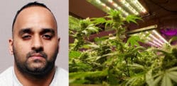 Man grew £25k Cannabis in Home where Wife refused to Live