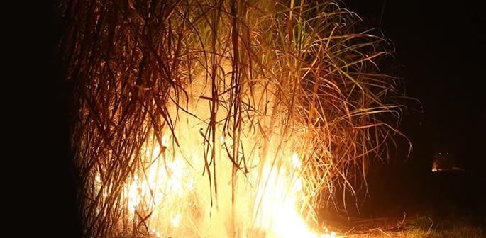 Indian Girl killed in Sugarcane Fire for Not Marrying Lover f
