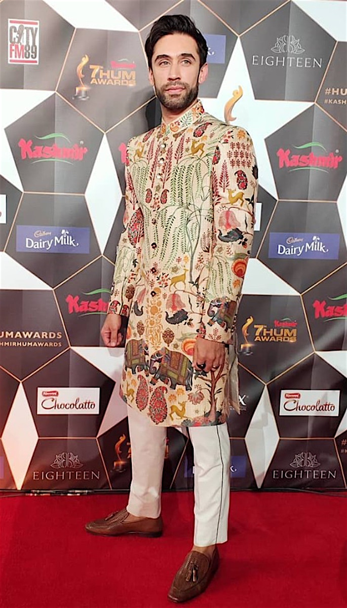 Best Dressed Pakistani Stars at Hum Awards 2019 - ali rehman khan