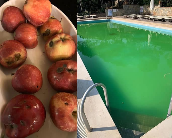 Family's 5-Star Holiday in Turkey turns into Nightmare - pool