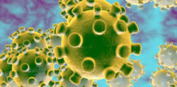 15 Coronavirus Myths which Need Busting