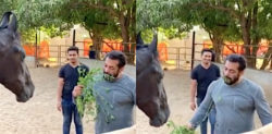 Salman Khan treats Himself to Horse Food amid Lockdown