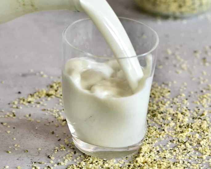 12 Best Plant-based Milk Alternatives to Dairy - hemp