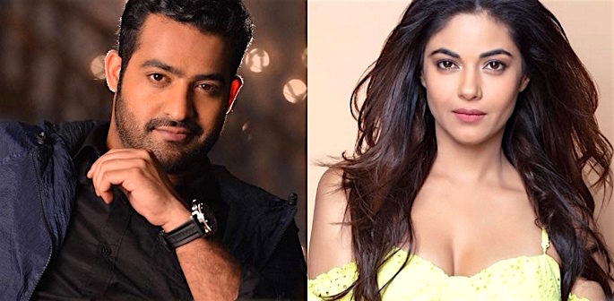 685px x 336px - Meera Chopra shocked by Abuse for not being Junior NTR's fan | DESIblitz