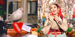 25 Most Iconic Scenes of Bollywood to Revisit