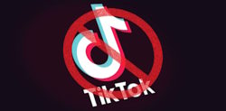 Stars react to Pakistan’s TikTok Ban over Indecent Content