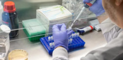 Study suggests Rise in Covid-19 Cases may be Slowing