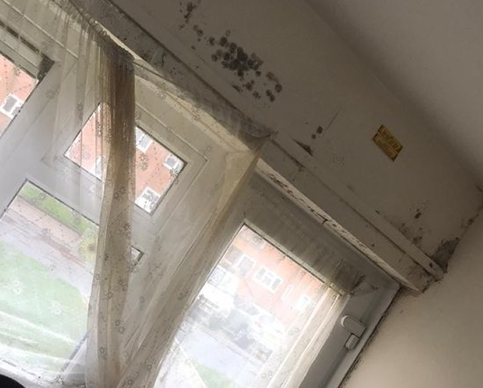 Mother says 'Unfit' Council Flat is Making Children Ill