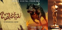 'Jallikattu' is India's Official Entry for Oscars 2021
