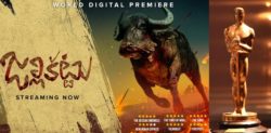‘Jallikattu’ is India’s Official Entry for Oscars 2021