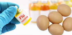 Are NHS Flu Jabs and Vaccines made from Eggs?