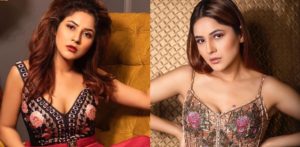 7 Stunning Looks of Indian Actress Shehnaz Gill f