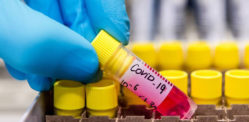 Pakistan to Launch Covid-19 Vaccine Drive Pakistan to Launch Covid-19 Vaccine Drive f
