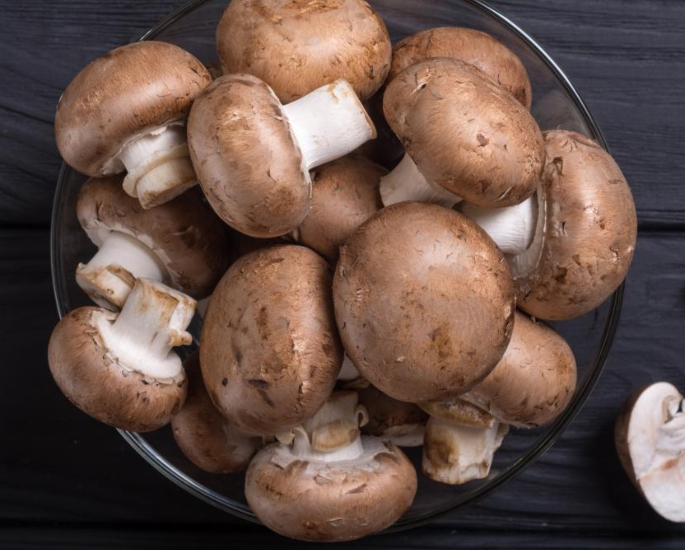 10 Best which Are Healthy - mushroom (1)