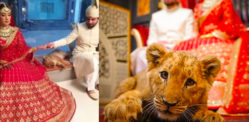 Pakistani couple slammed for using Lion Cub as Wedding photo Prop f
