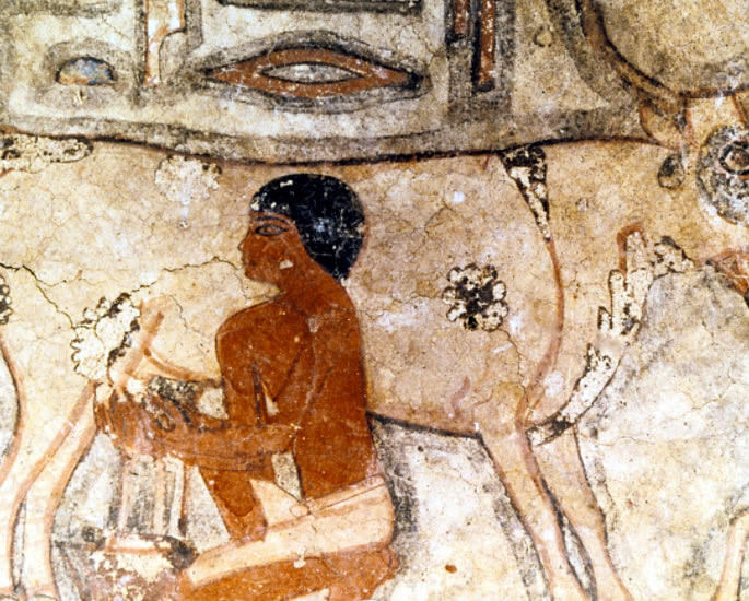 10 Ancient Indian Aphrodisiacs that Improve Sex - milk
