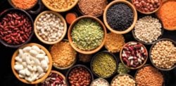 Know your Pulses and Lentils to Battle Covid-19 & Summers