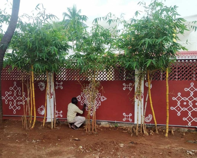 Tamil Artist transforms Couple’s Home with Kolams - kolams