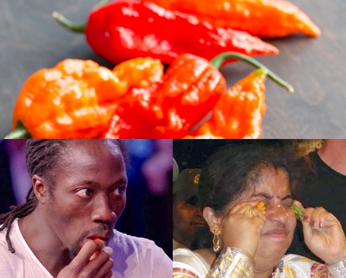 Which is the Hottest Chilli Pepper Found in India – Records