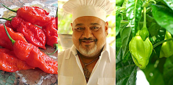 Which is the Hottest Chilli Pepper Found in India? – F