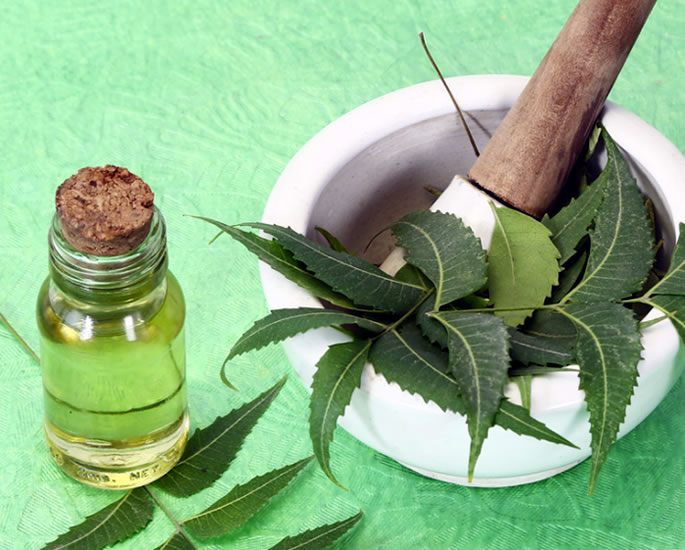 5 Popular Ancient Indian Contraceptives - neem oil