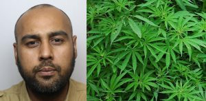 Man with £88k Cannabis Farm says he did it to 'Make Money' f