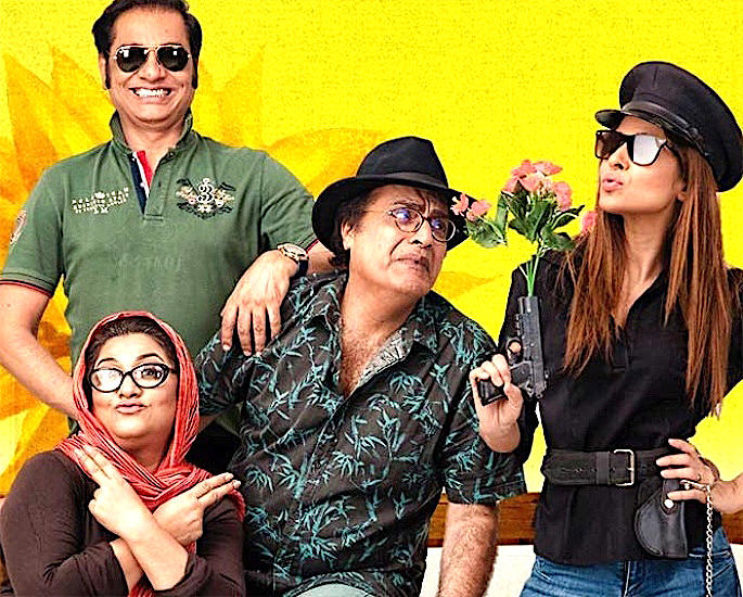 12 Best Pakistani Comedy Dramas to Watch for a Laugh - Bulbulay