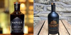 11 Top Indian Gin Brands to Drink