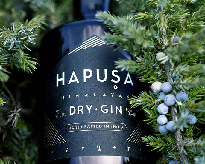 11 Top Indian Gin Brands to Drink - hapusa