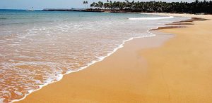 Indian Man raped Tourist on Goa Beach in front of Husband