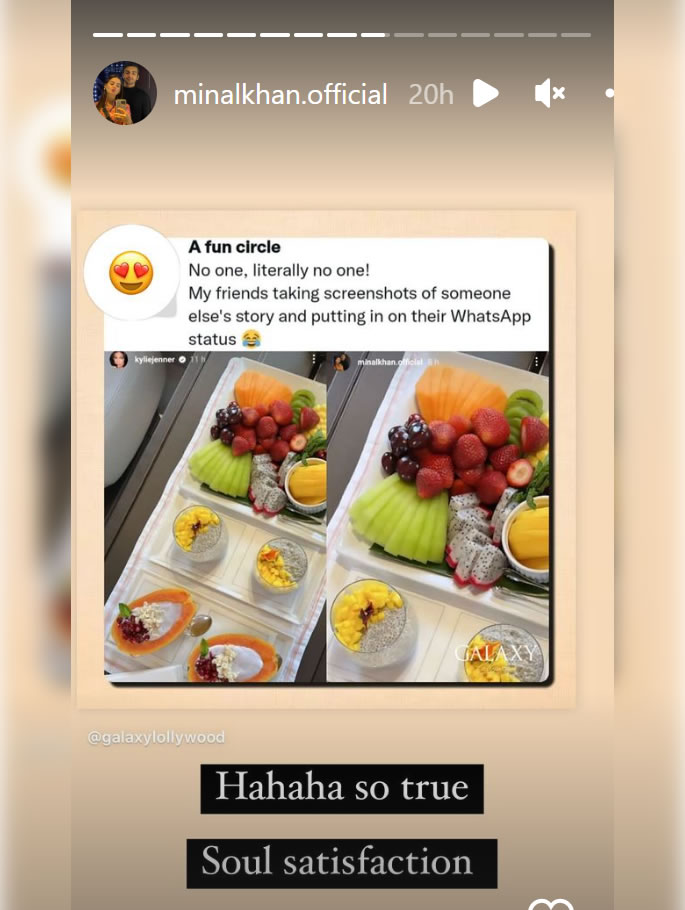 Minal Khan mocked for Copying Kylie Jenner's Instagram Story
