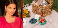 Minal Khan steals Another Picture for Instagram causing Backlash
