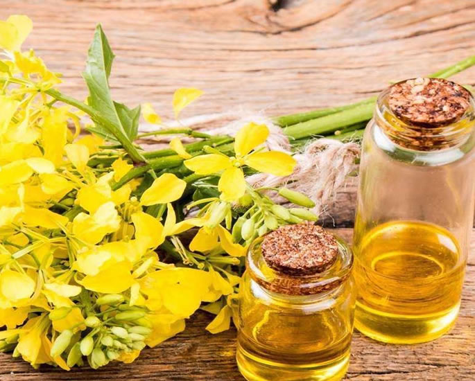 10 Unhealthy Oils to avoid for Cooking - canola