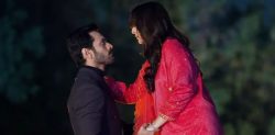 Did ‘Tere Bin’ copy an Indian TV Drama?