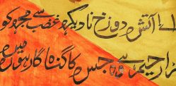 How Did Urdu become Pakistan's National Language