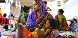 Severe Dengue Outbreak claims 1000 Lives in Bangladesh