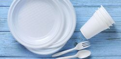 How does the Ban on Single-Use Plastics affect British Asians?