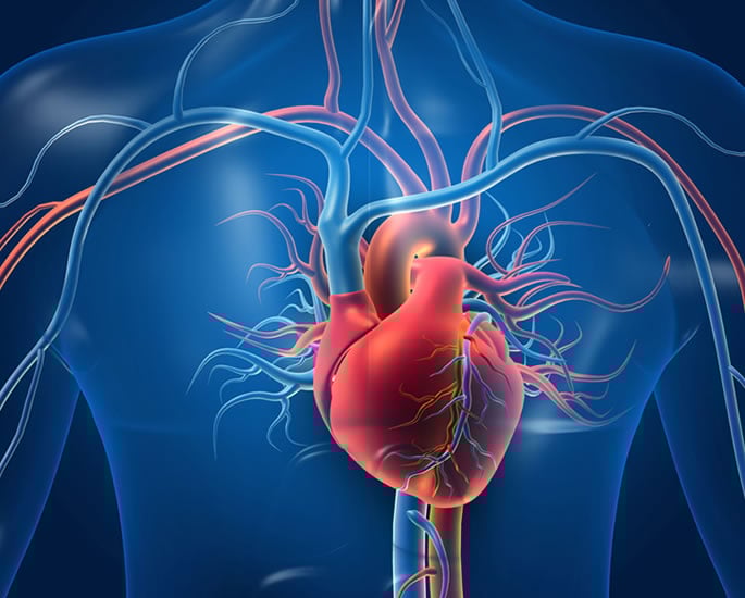 The Health Benefits of a Desi Vegan Diet - heart