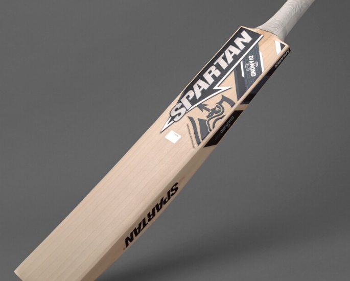 6 Most Expensive Cricket Bats 2023 by Popular Brands